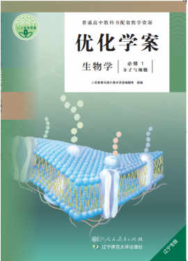 暑假作業(yè) 語(yǔ)文 三年級
