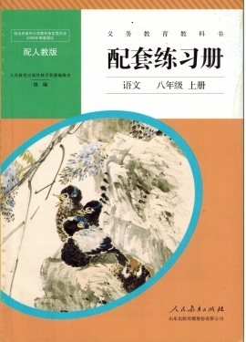 初中配套練習冊